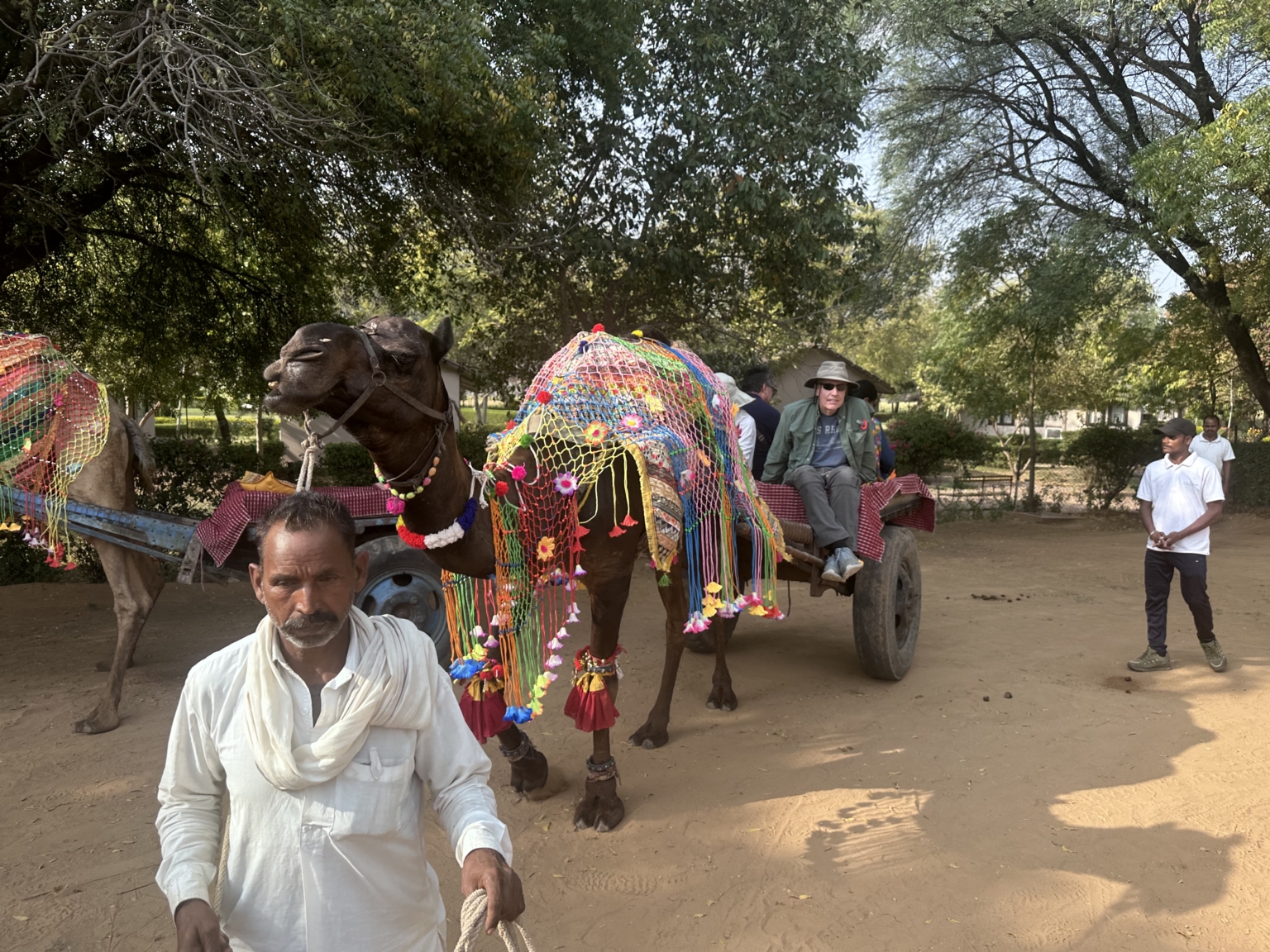 Photo Gallery Mystical India Through Our Guests' Eyes Odysseys Unlimited